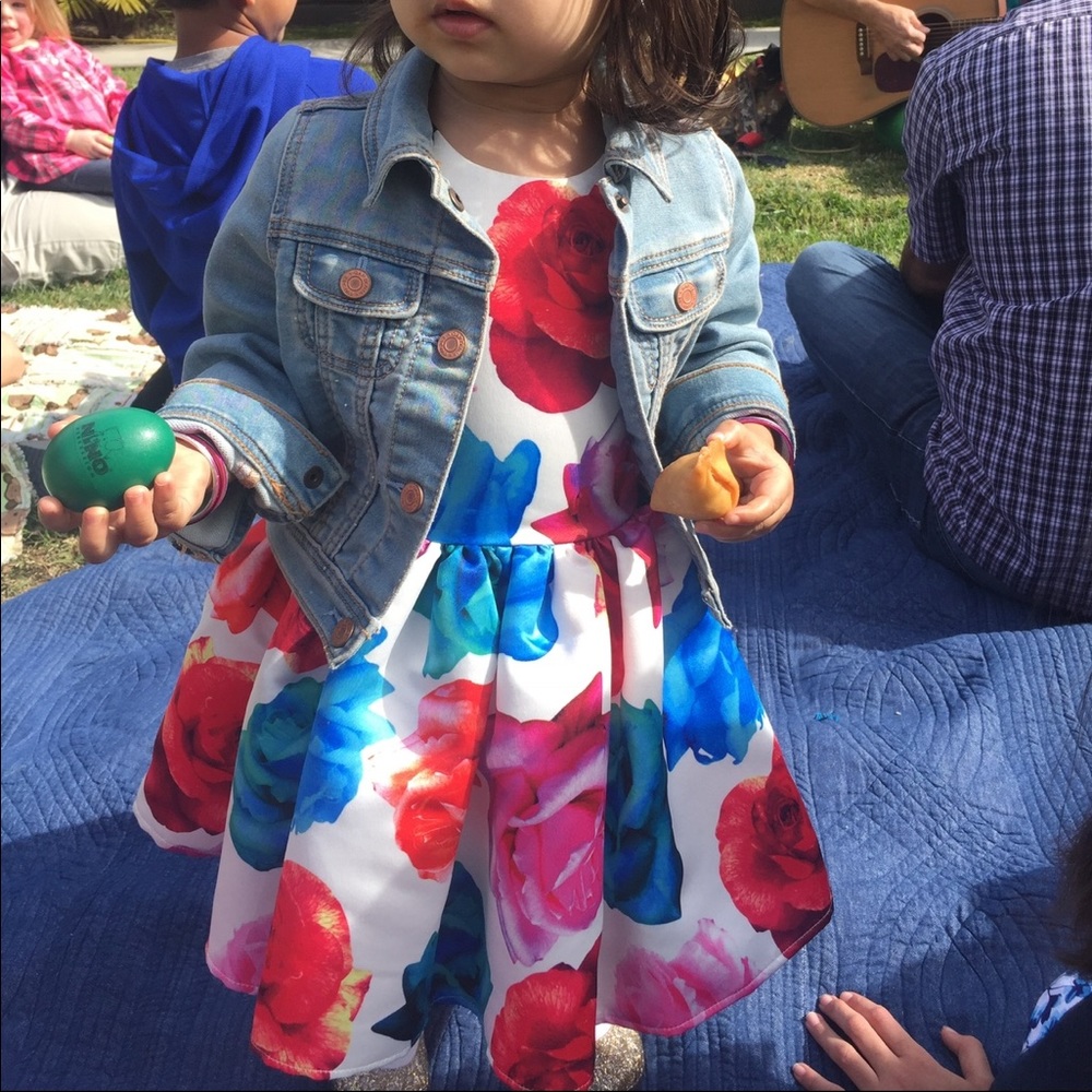 Halabaloo rose dress Sz 24 months